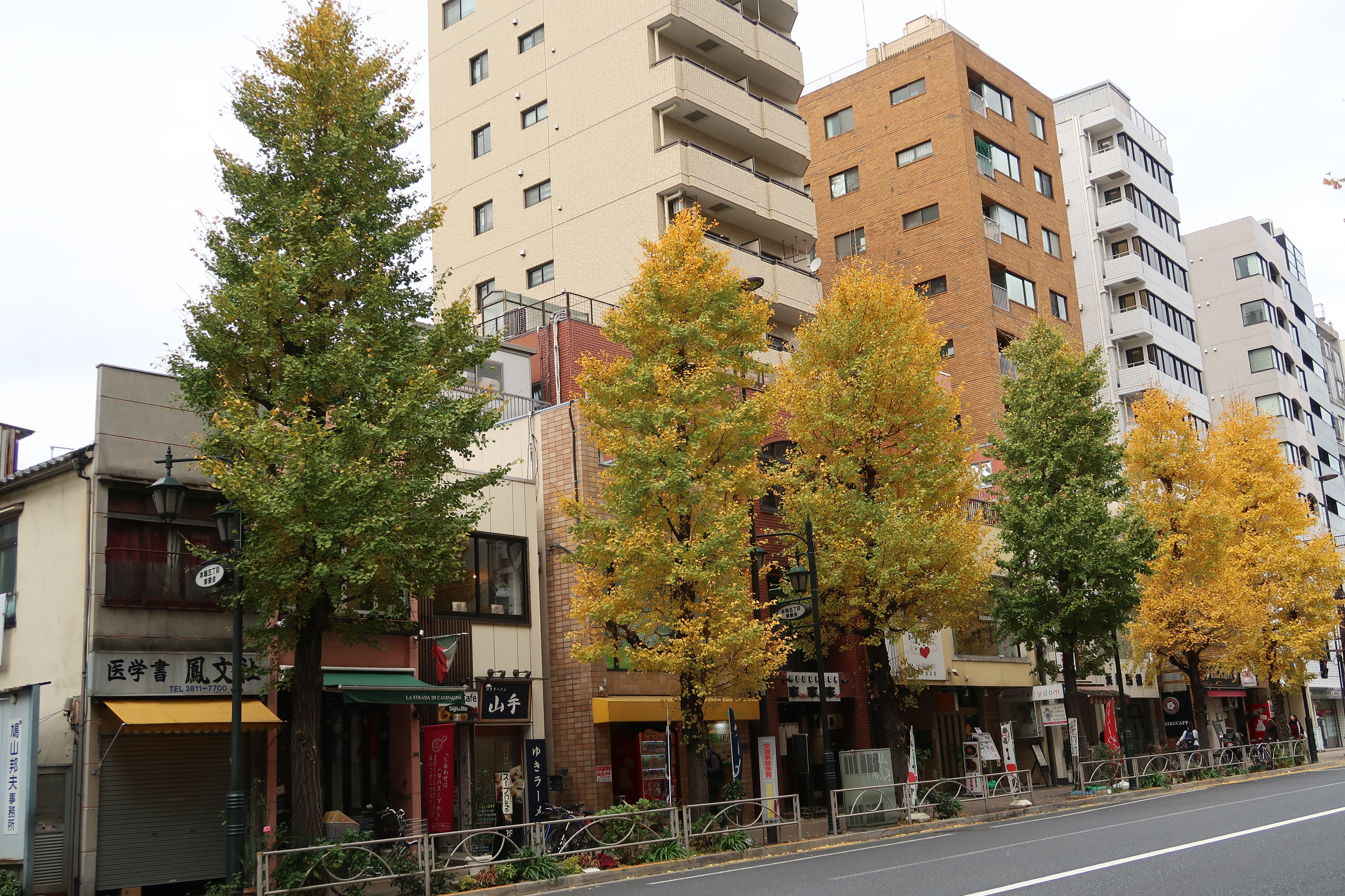 東大街景